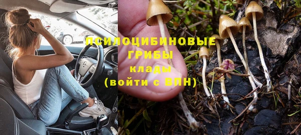 дмт Белоозёрский