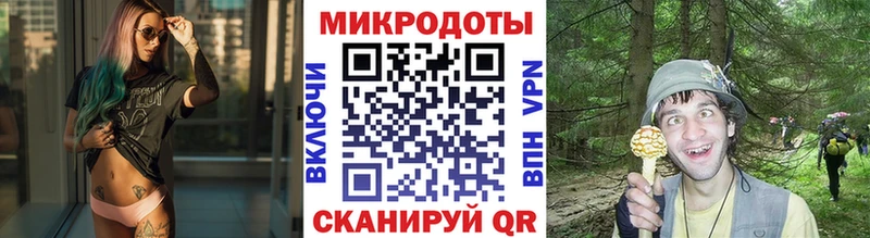 даркнет сайт  Шали  Галлюциногенные грибы Magic Shrooms 