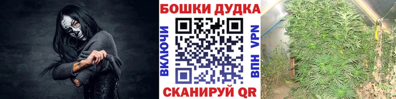 Марихуана MAZAR  сколько стоит  Шали 